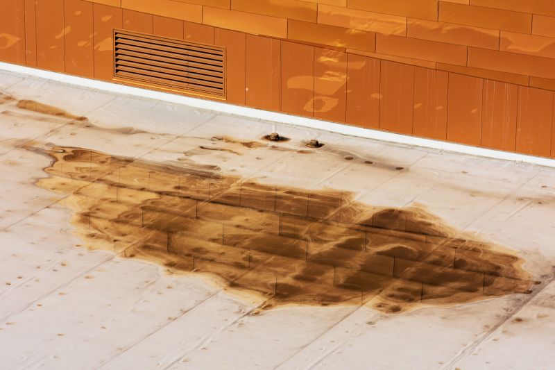Roof Leak Detection