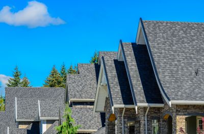 Variety of Roofing Styles